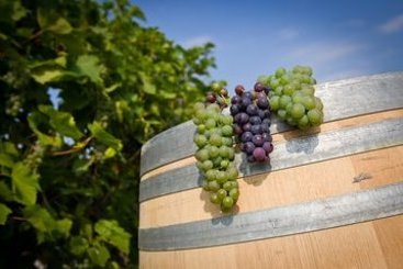 Hotel Comfort Inn South Shore | Boucherville | Quebec | Canada 14