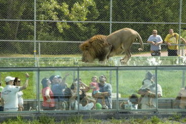 Hotel Comfort Inn South Shore | Boucherville | Quebec | Canada 8