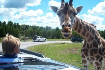 Hotel Comfort Inn South Shore | Boucherville | Quebec | Canada 9