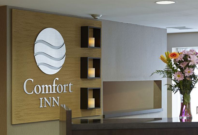 Hotel Comfort Inn Corner Brook | Corner Brook | Newfoundland and Labrador | Canada 6