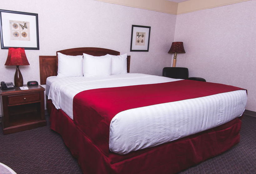 Hotel Paradise Inn Suites Grande Prairie | Grande Prairie | Alberta | Canada 10