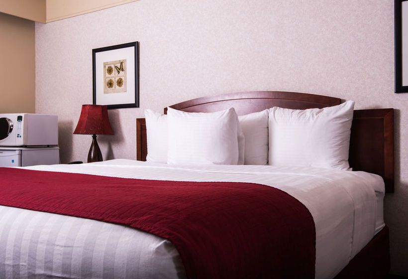 Hotel Paradise Inn Suites Grande Prairie | Grande Prairie | Alberta | Canada 9