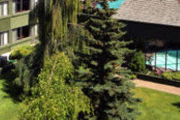 Hotel Chateu Jasper | Jasper | Alberta | Canada 5