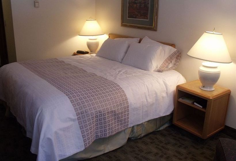 Hotel Mountaineer Lodge | Lake Louise | Alberta | Canada 12