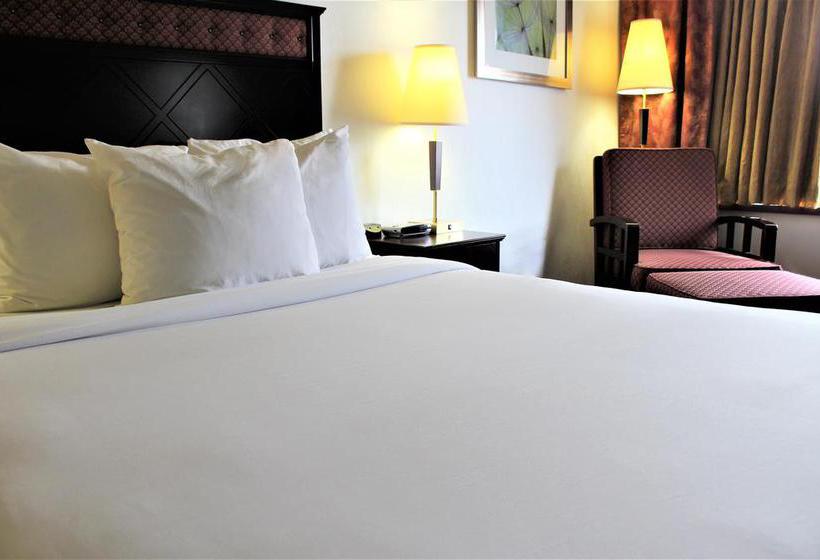 Hotel Lelux | Montreal | Quebec | Canada 8