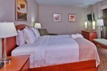 Hotel Evo Centre-Ville | Montreal | Quebec | Canada 7