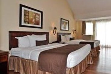 Hôtel Best Western Plus Montreal Downtown Europa | Montreal | Québec | Hôtels au Canada 1