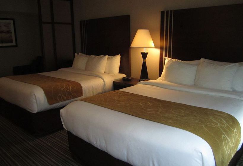 Hôtel Comfort Suites Downtown | Montreal | Québec | Hôtels au Canada 3