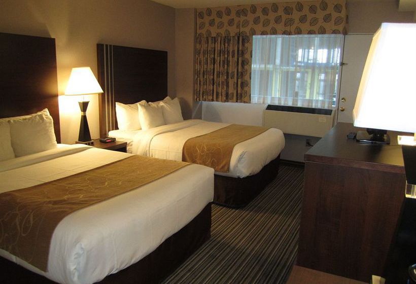 Hôtel Comfort Suites Downtown | Montreal | Québec | Hôtels au Canada 4