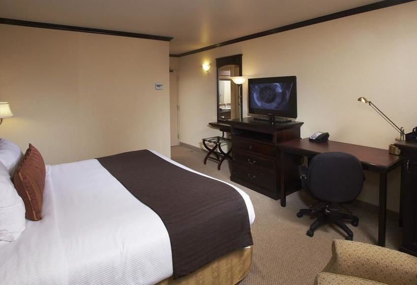 Hotel Best Western Plus Centreville City Centre | Quebec | Quebec | Canada 11