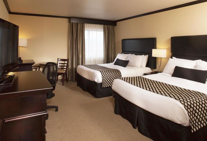 Hotel Best Western Plus Centreville City Centre | Quebec | Quebec | Canada 17