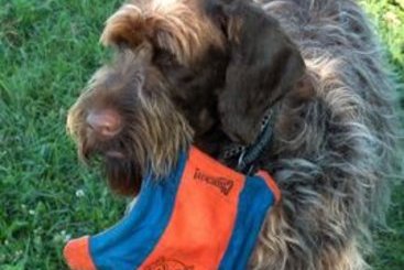 Hotel Econo Lodge Airport | Sainte Foy | Quebec | Canada 16