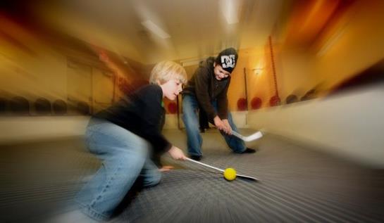 Hotel Quality Inn & Conference Centre Downtown | Sudbury | Ontario | Canada 5