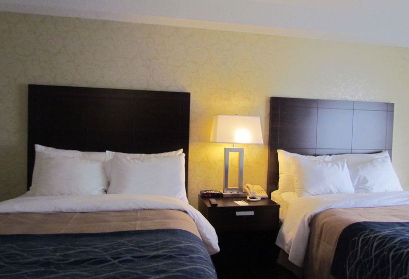 Hotel Comfort Inn Trois Rivieres | Trois Rivieres | Quebec | Canada 13