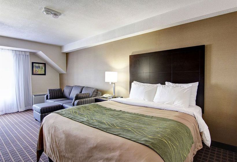 Hotel Comfort Inn Windsor | Windsor | Ontario | Canada 2