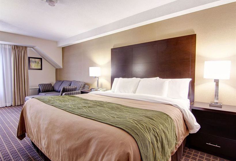 Hotel Comfort Inn Windsor | Windsor | Ontario | Canada 4