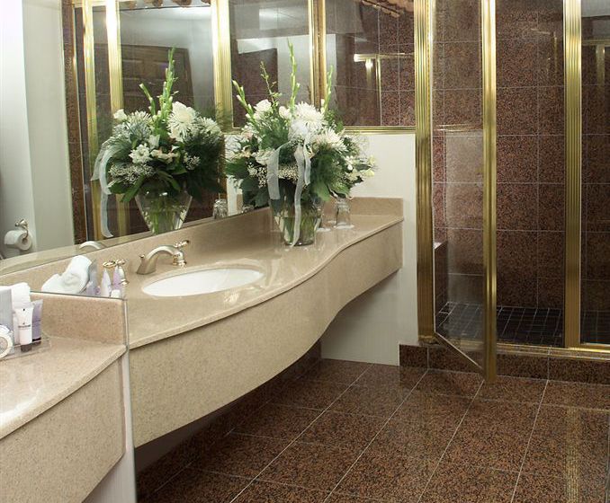 Hotel Medicine Hat Lodge | Medicine Hat | Alberta | Canada 4