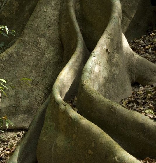 Hotel Bloomfield Lodge Beautifully Remote