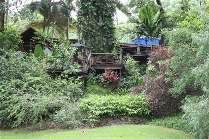 Hotel Bloomfield Lodge Beautifully Remote | Cairns | Queensland | Australia 19