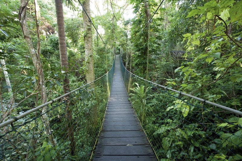 Hotel Bloomfield Lodge Beautifully Remote | Cairns | Queensland | Australia 9