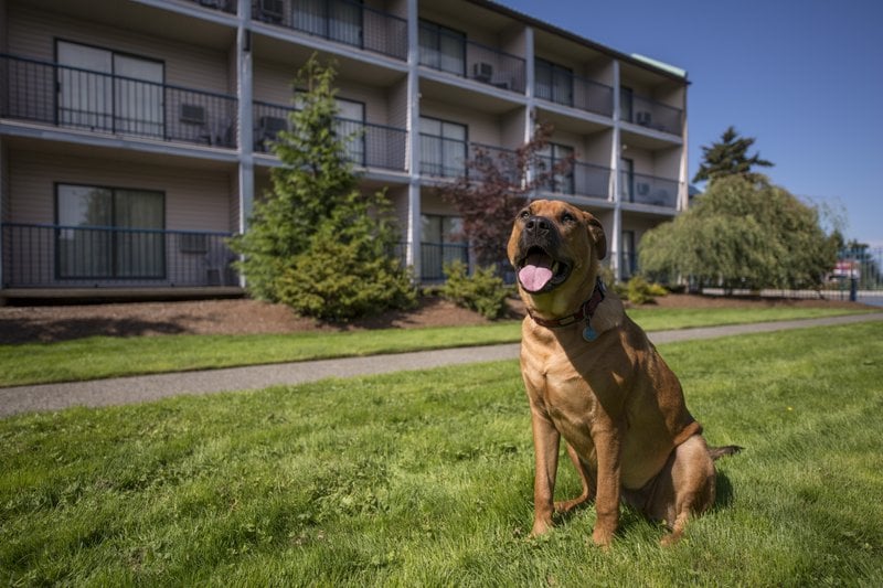 Hotel Best Western Northgate Inn | Nanaimo | British Columbia | Canada 7