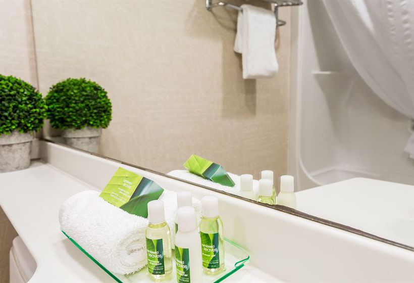 Hotel Executive Royal Inn West Edmonton | Edmonton | Alberta | Canada 15