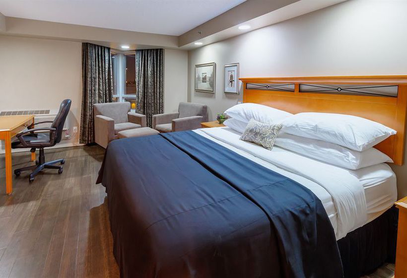 Hotel Executive Royal Inn West Edmonton | Edmonton | Alberta | Canada 19