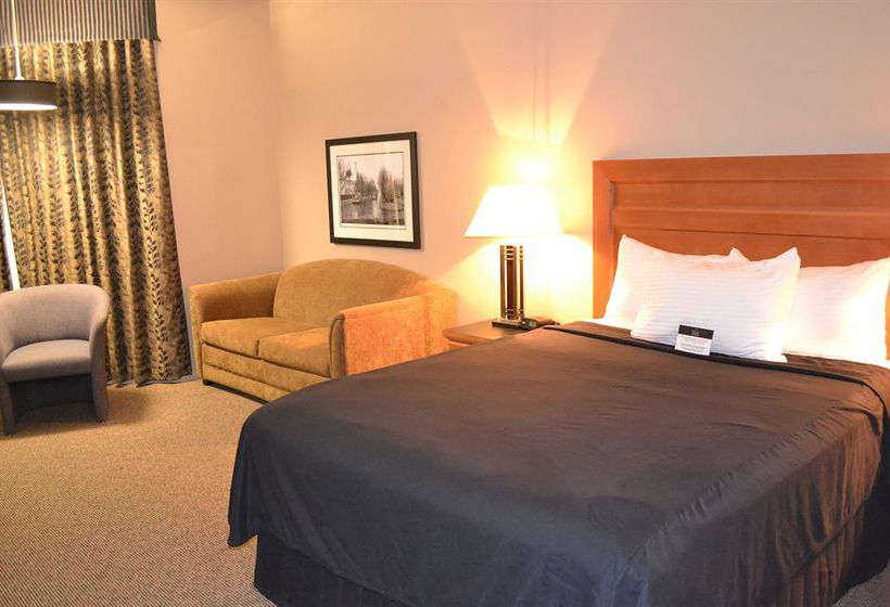 Hotel Executive Royal Inn West Edmonton | Edmonton | Alberta | Canada 7