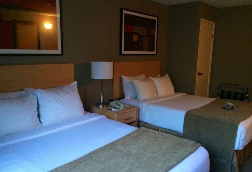 Quality Hotel Harbourview | St. John'S | Newfoundland and Labrador | Canada 16