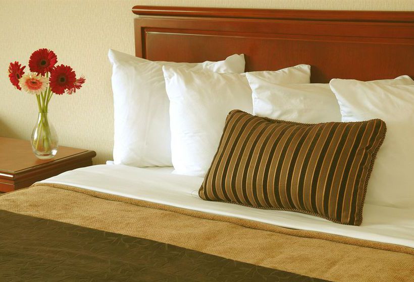 Quality Hotel Harbourview | St. John'S | Newfoundland and Labrador | Canada 4