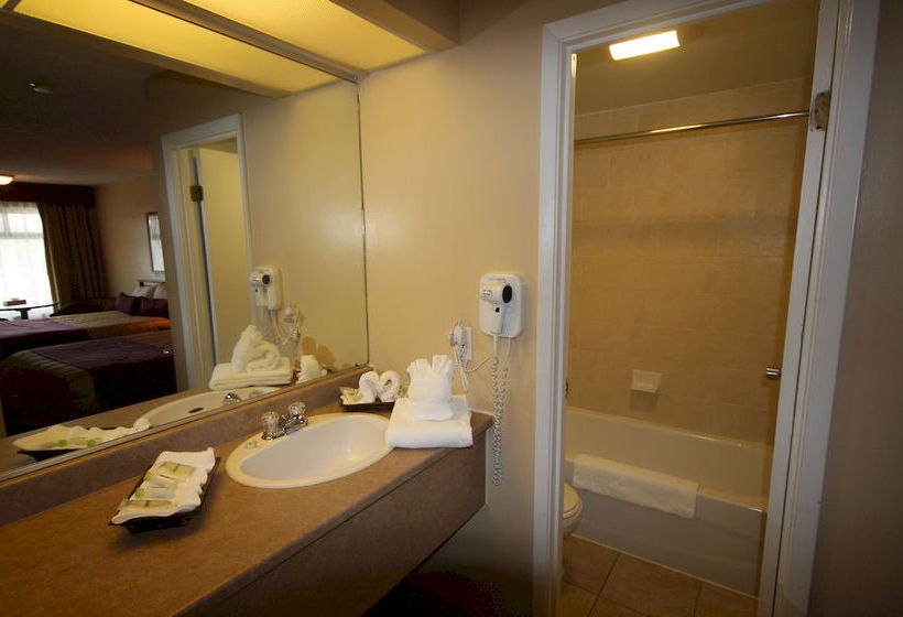 Motel Adam | Gatineau | Quebec | Canada 1