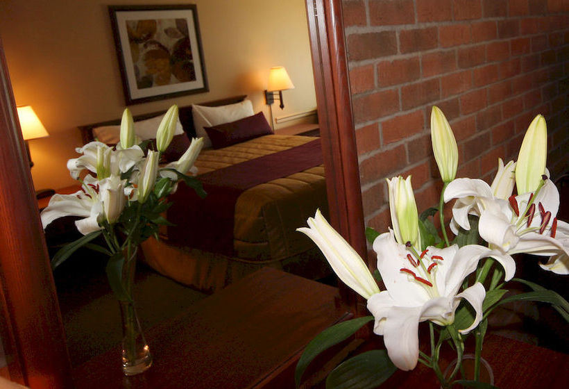 Motel Adam | Gatineau | Quebec | Canada 12