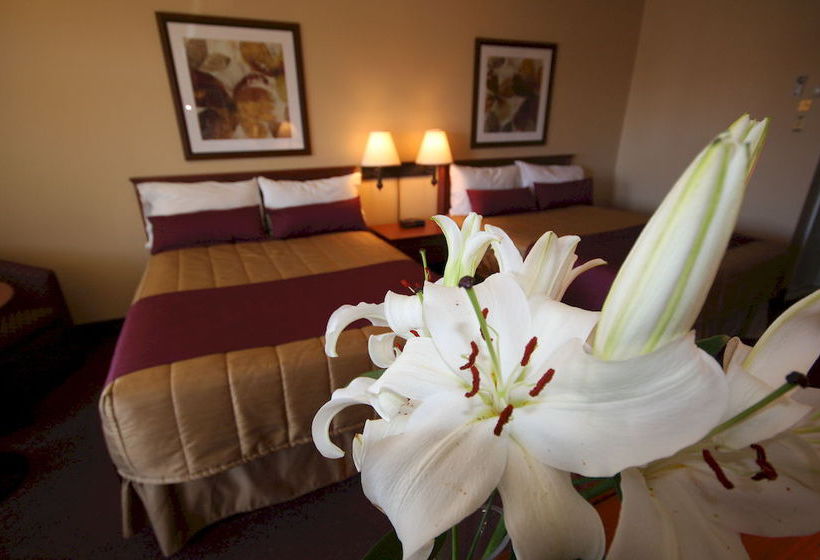 Motel Adam | Gatineau | Quebec | Canada 13