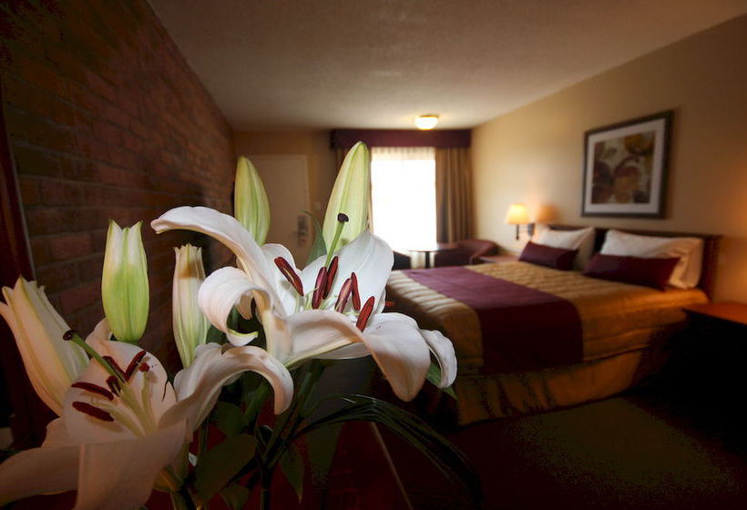 Motel Adam | Gatineau | Quebec | Canada 14