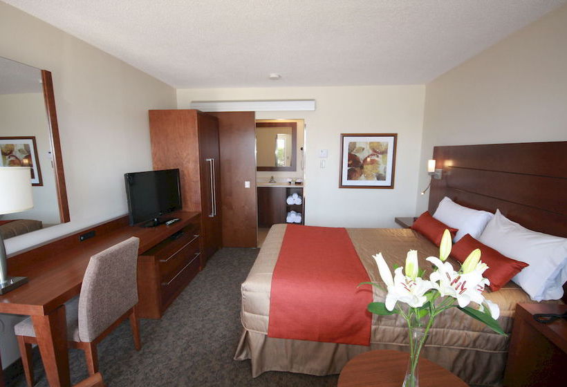 Motel Adam | Gatineau | Quebec | Canada 3