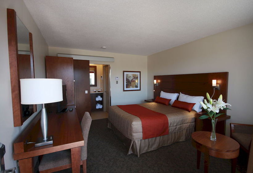 Motel Adam | Gatineau | Quebec | Canada 7