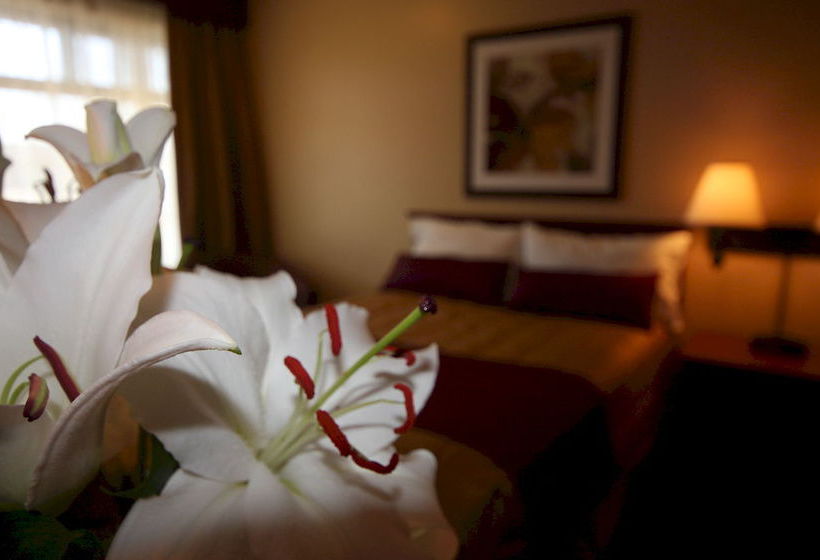 Motel Adam | Gatineau | Quebec | Canada 9