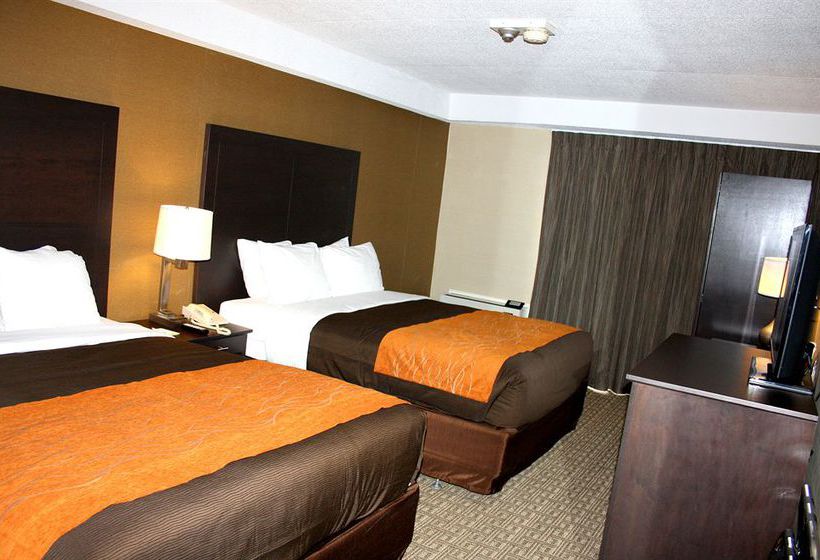 Hotel Comfort Inn Brampton | Brampton | Ontario | Canada 3