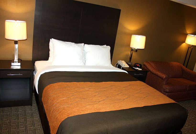 Hotel Comfort Inn Brampton | Brampton | Ontario | Canada 5