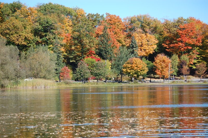 Hotel Comfort Inn Midland | Midland | Ontario | Canada 11