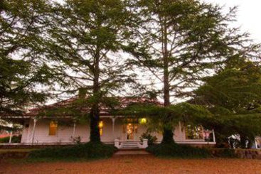 Hotel Moore Park Inn | Armidale | New South Wales | Australia 2