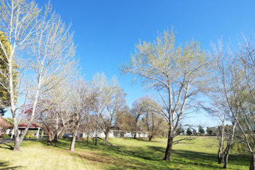 Hotel Moore Park Inn | Armidale | New South Wales | Australia 9