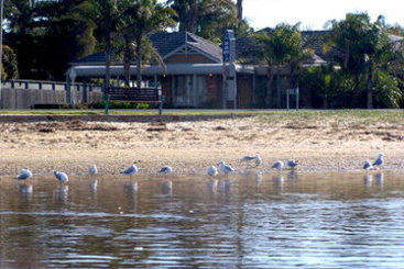 Hotel Best Western Coastal Waters Motor Inn | Lakes Entrance | Victoria | Australia 7