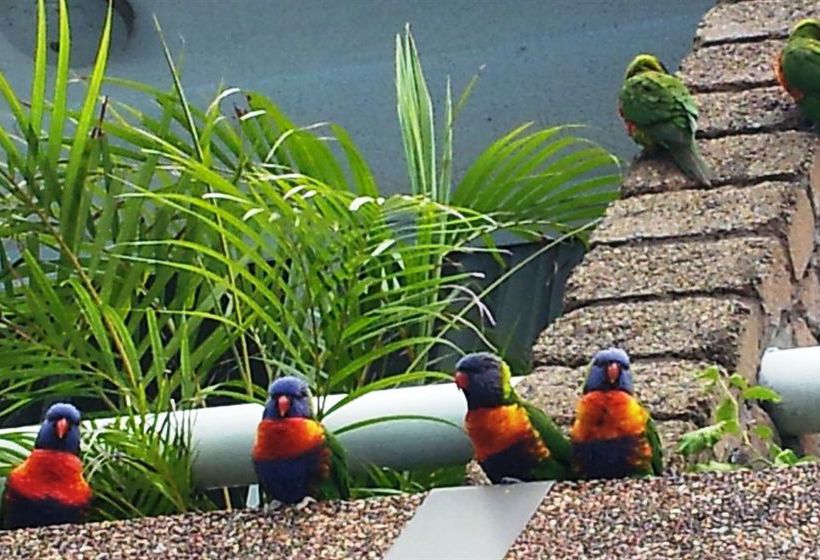 Aquajet Motel | Coffs Harbour | New South Wales | Australia 13