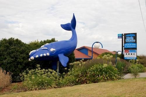 Motel Blue Whale Motor Inn | Warrnambool | Victoria | Australia 20