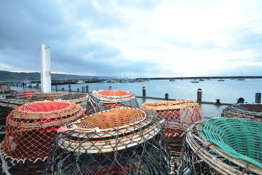 Best Western Apollo Bay Motel and Apartments | Apollo Bay | Victoria | Australia 15