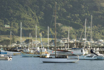 Best Western Apollo Bay Motel and Apartments | Apollo Bay | Victoria | Australia 16