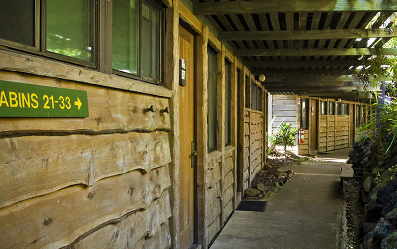 Hotel Binna Burra Mountain Lodge | Beechmont | Queensland | Australia 3