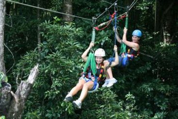 Hotel Jungle Lodge | Cape Tribulation | Queensland | Australia 11