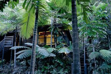Hotel Jungle Lodge | Cape Tribulation | Queensland | Australia 15